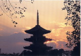 img0000.jpg