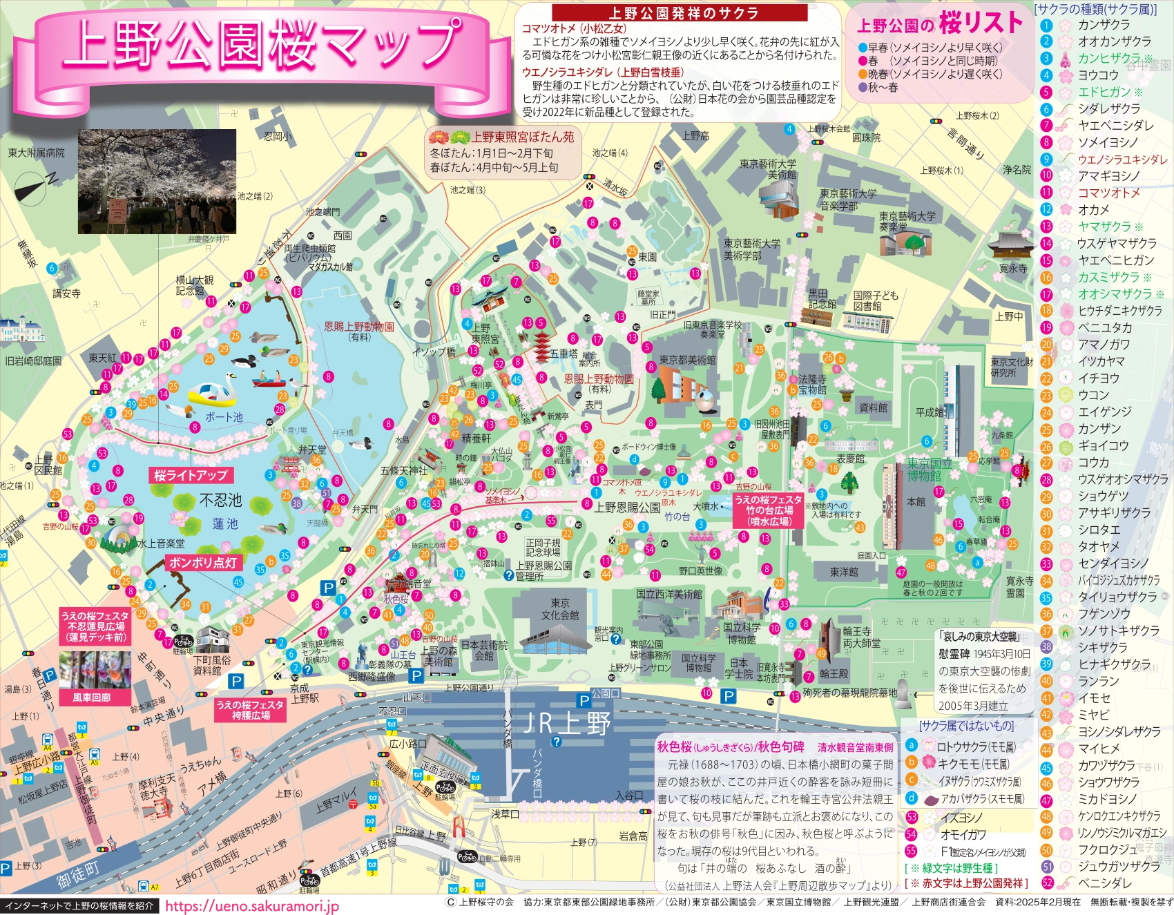 上野公園桜マップ